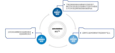 品牌管理決策支持體系的構(gòu)建與優(yōu)化